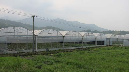 黄小杭调研员组织农业界委员到将乐万安镇考察