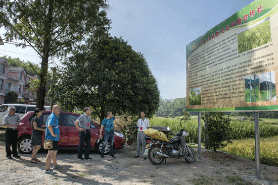 县政协组织委员开展视察调研活动