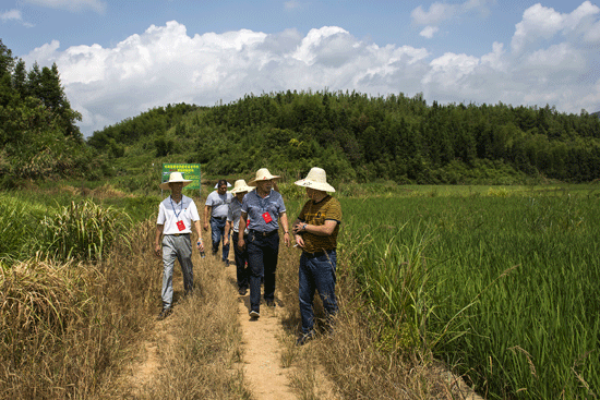 县政协组织委员开展视察调研活动
